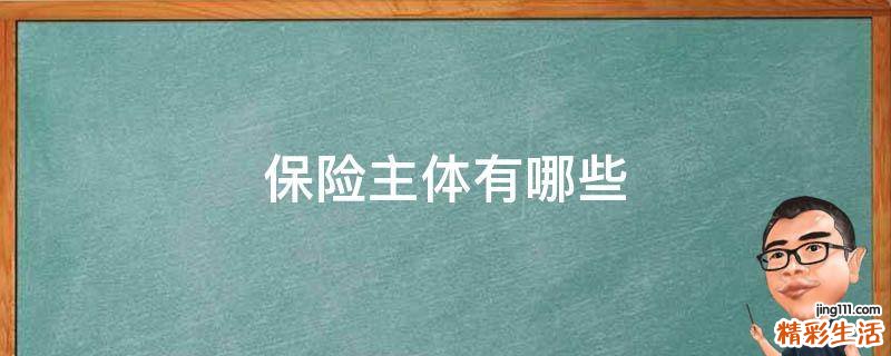 保险主体有哪些