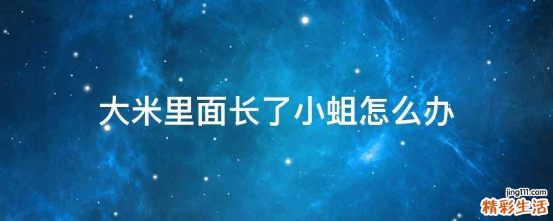 大米里面长了小蛆怎么办