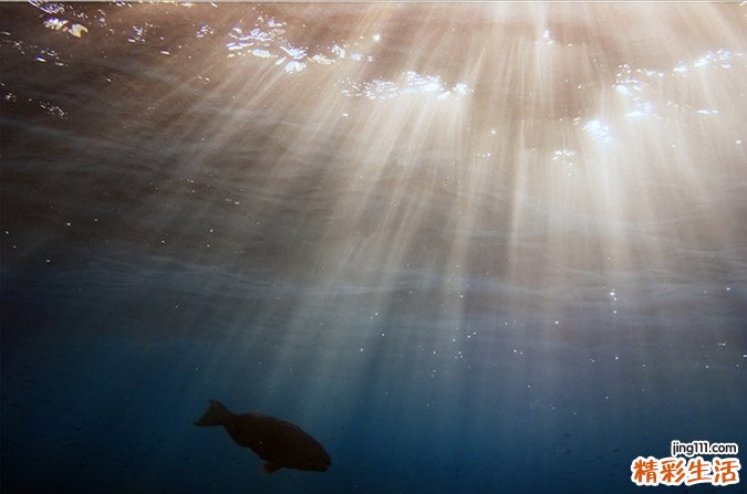 另类相亲有多潮 团购相亲见过吗？