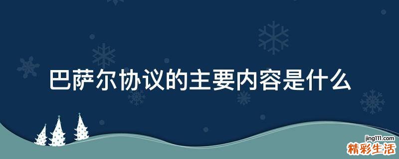 巴萨尔协议的主要内容是什么