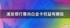 浦发银行尊尚白金卡权益有哪些