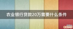 农业银行贷款20万需要什么条件