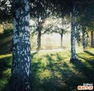 7 墨镜下隐藏的心理秘密