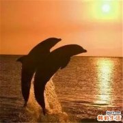 2 二三月招桃花 养出透白感好皮肤