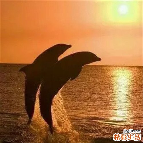 2 二三月招桃花 养出透白感好皮肤