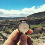 积液纤维结合蛋白