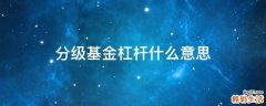 分级基金杠杆什么意思