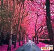 六种职场心理害苦了你