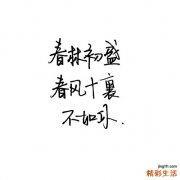脑脊液环磷鸟苷