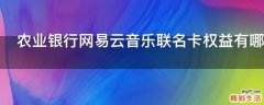 农业银行网易云音乐联名卡权益有哪些