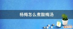 杨梅怎么煮酸梅汤