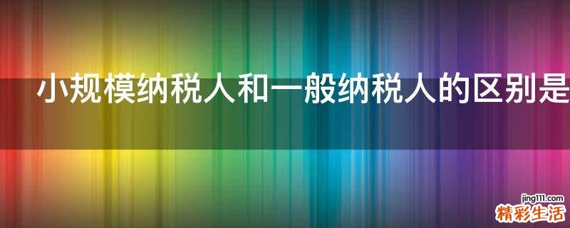 小规模纳税人和一般纳税人的区别是什么