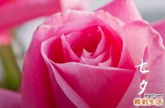 2023七夕节领结婚证好不好 2023年七夕节是结婚登记的好日子吗