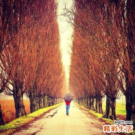 伴高血压的原因_伴高血压是怎么引起的