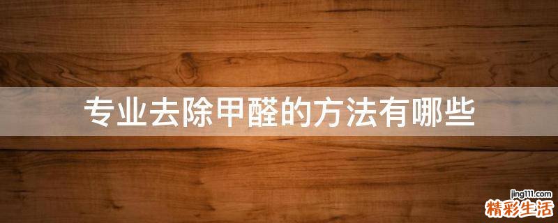 专业去除甲醛的方法有哪些