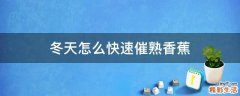 冬天怎么快速催熟香蕉