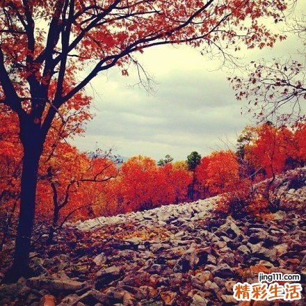 哪种方法去眼袋最好_去眼袋手术越早做效果越好