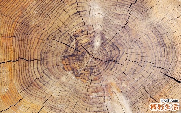 精神发育迟缓的治疗