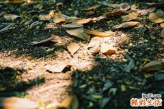 3 持续心情不好小心忧郁症