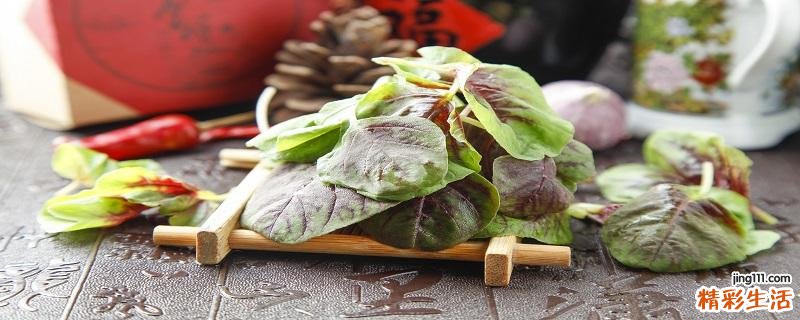 苋菜能生吃吗 苋菜有什么营养价值