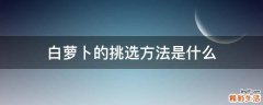 白萝卜的挑选方法是什么
