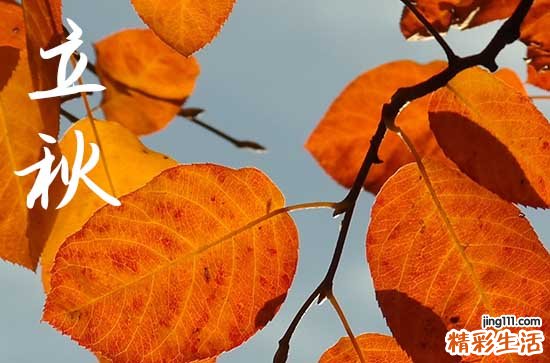 2023年立秋是几点几分几秒 公历8月8日14:53:48