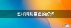 怎样辨别带鱼的好坏