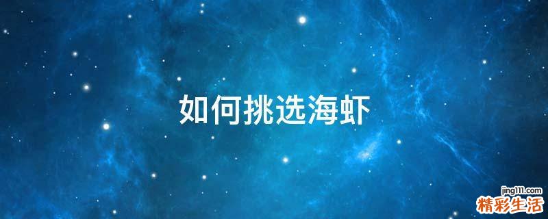 如何挑选海虾