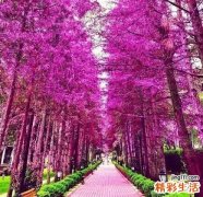 【如何正确去除黑头】去除黑头最好的方法