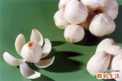 百合的功效与作用及食用方法