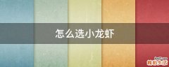 怎么选小龙虾