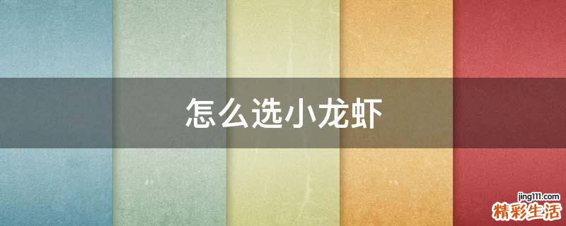 怎么选小龙虾