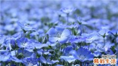 【夏天怎么收缩毛孔】夏天收缩毛孔的方法