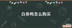 白条鸭怎么购买