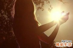 蒲葵