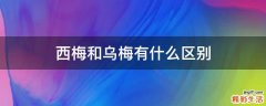 西梅和乌梅有什么区别