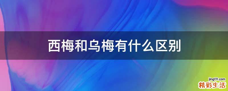 西梅和乌梅有什么区别