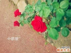 三个关键点 不花钱也能有好皮肤