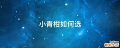 小青柑如何选