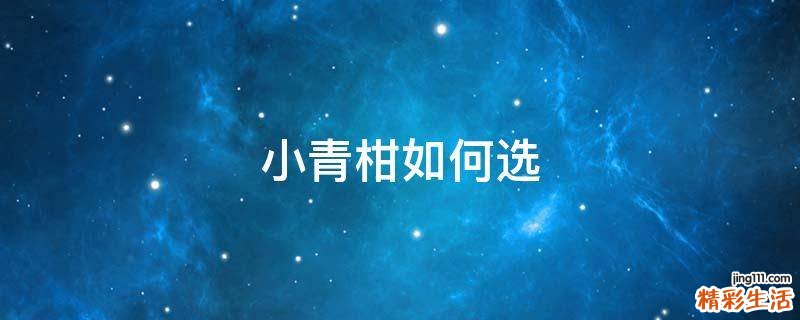 小青柑如何选