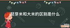 胚芽米和大米的区别是什么