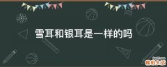 雪耳和银耳是一样的吗