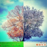 5 你还在迷信么？揭开化妆水真相迷雾