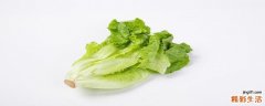 生菜变红还能吃吗 生菜根部为什么会变红