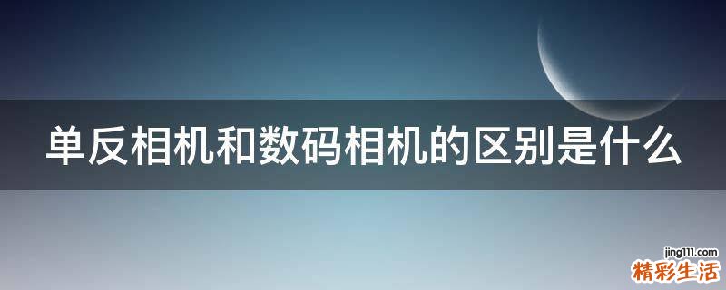 单反相机和数码相机的区别是什么