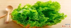 生菜的热量是多少大卡 生菜的热量高不高