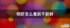 明虾怎么看新不新鲜