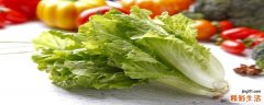 生菜怎么清洗比较干净 怎样正确挑选生菜