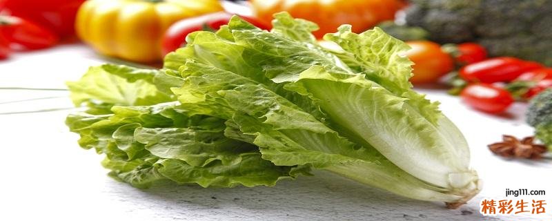 生菜怎么清洗比较干净 怎样正确挑选生菜