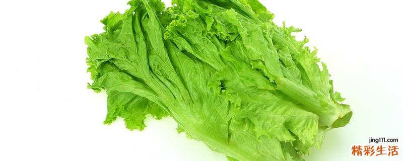 吃生菜可以减肥吗 生菜是热量是多少